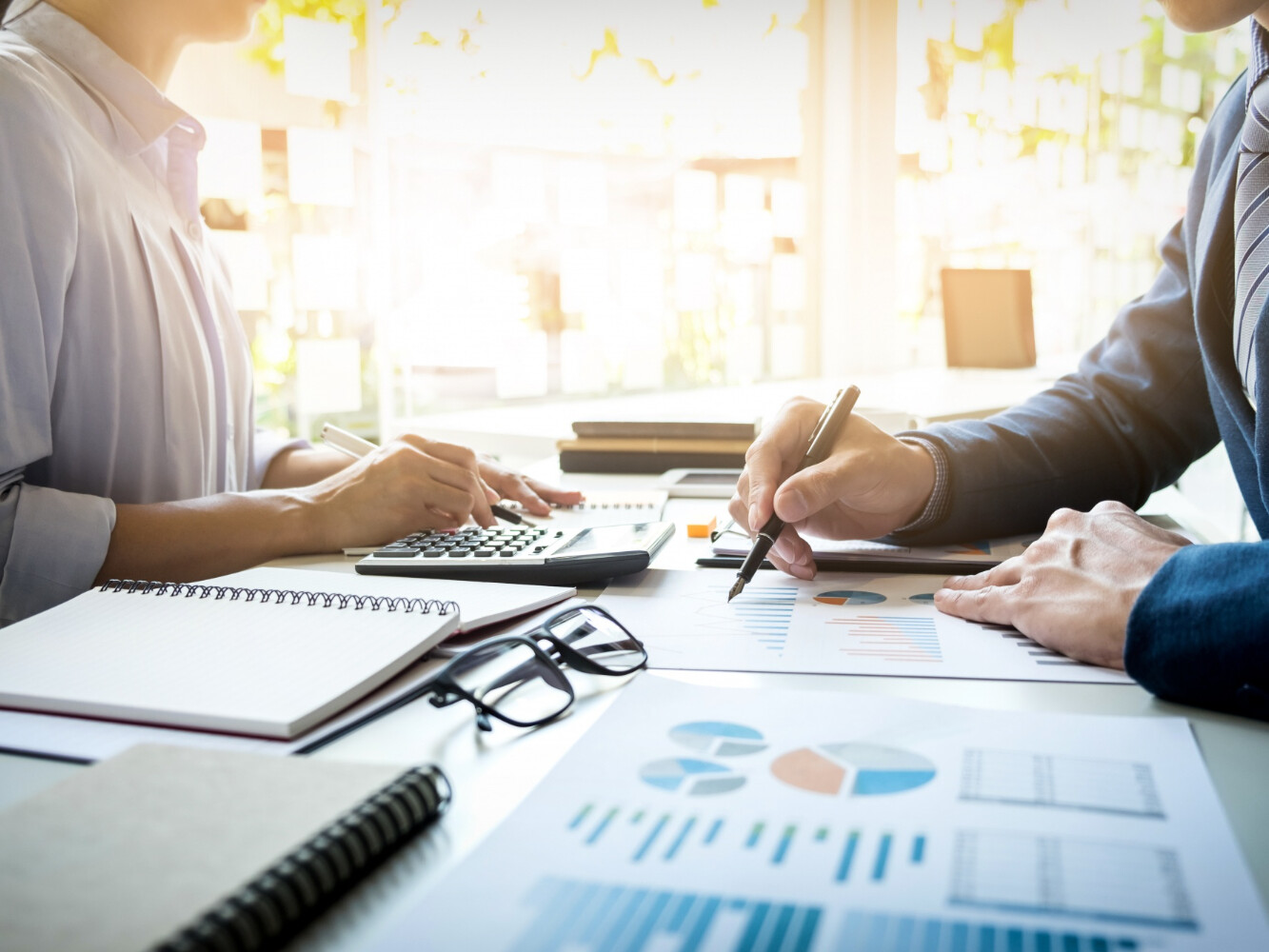 International tax advisory consultation